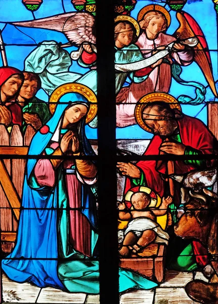 Kerststal Geboorte Van Jezus Gebrandschilderde Ramen Saint Eugene Saint Cecilia — Stockfoto