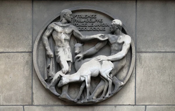 Ptolemeusz Philadelphe Zakłada Zoo Relief Kamień Budynku Faculte Medicine Paryża — Zdjęcie stockowe