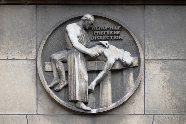 Herophilos Die Erste Präparation Steinrelief Gebäude Der Medizinischen Fakultät Paris — Stockfoto