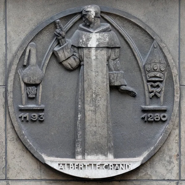 Albertus Magnus, olarak da bilinen Saint Albert büyük, bir Alman Katolik Dominik rahip ve piskopos oldu. Faculte de tıp Paris binasında taş kabartma.