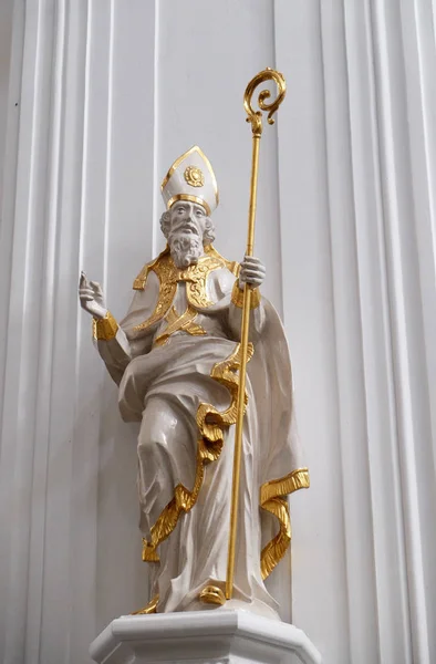 Estatua San Burchard Catedral Wurzburg Dedicada San Kilian Baviera Alemania —  Fotos de Stock