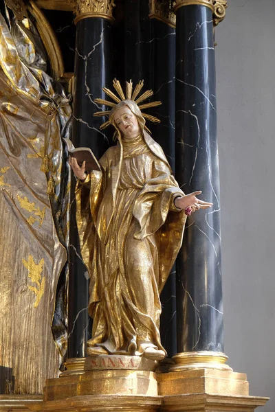 Statue Sainte Anne Sur Autel Vierge Marie Dans Neumunster Collegiate — Photo