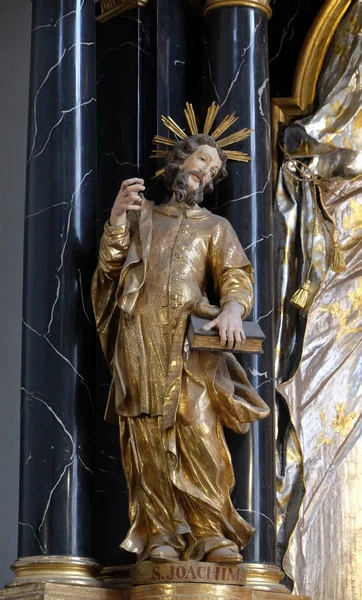 Статуя Святого Йоахім Вівтаря Діви Марії Університетських Церкви Neumunster Вюрцбурга — стокове фото
