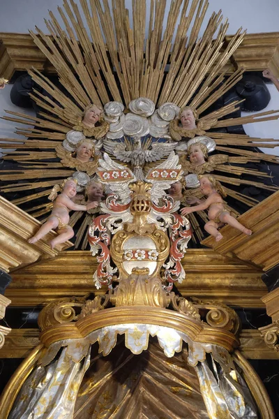 Helige Ande Fågel Jungfru Maria Altare Neumünster Collegiate Church Würzburg — Stockfoto