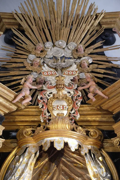 Άγιο Πνεύμα Πουλί Θεοτόκου Βωμός Neumunster Collegiate Εκκλησίας Wurzburg Γερμανία — Φωτογραφία Αρχείου