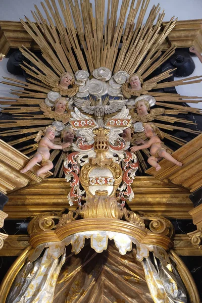 Espíritu Santo Pájaro Virgen María Altar Neumunster Collegiate Church Wurzburg —  Fotos de Stock