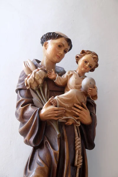 Heilige Anthony Von Padua Statue Der Martinskirche Unteressendorf Deutschland — Stockfoto