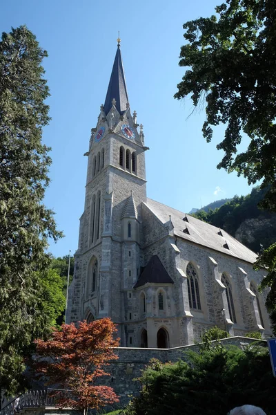 Katedrála Florin Vaduz Lichtenštejnsko — Stock fotografie