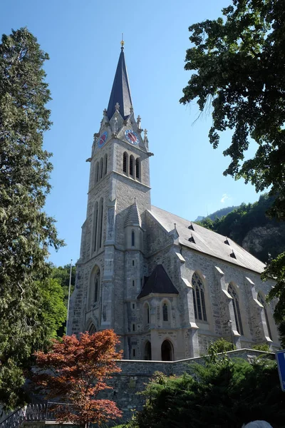 Katedralen Florin Vaduz Liechtenstein — Stockfoto