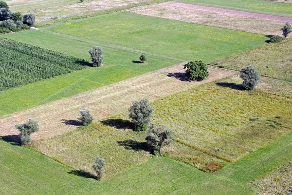 Aerial View Meadows Fields Nothern Croatia Summertime Zdencina Croatia — Stock Photo, Image