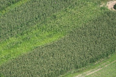 Çayırlar ve alanları Kuzey Hırvatistan yaz, Zdencina, Hırvatistan'ın havadan görünümü