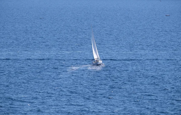 Voilier Blanc Haute Mer Bleue Portoroz Slovénie — Photo