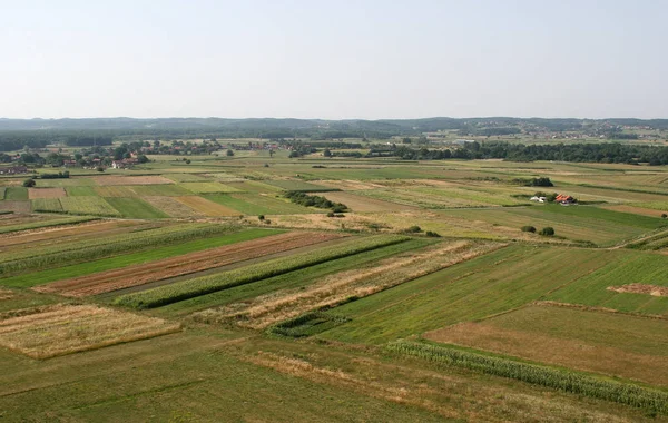 Vista Aérea Dos Prados Campos Croácia Verão Zdencina Croácia — Fotografia de Stock