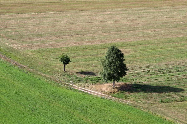 Αεροφωτογραφία Του Λιβάδια Και Αγρούς Στην Βόρεια Κροατία Καλοκαίρι Zdencina — Φωτογραφία Αρχείου