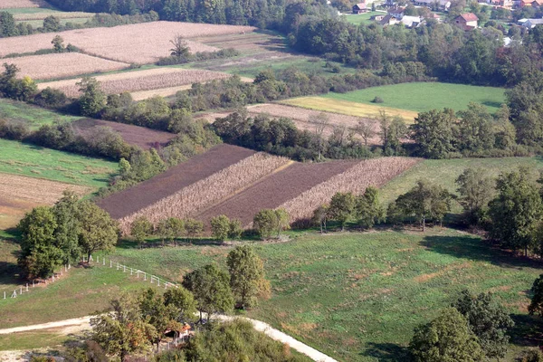 Vista Aérea Dos Prados Campos Croácia Verão Zdencina Croácia — Fotografia de Stock