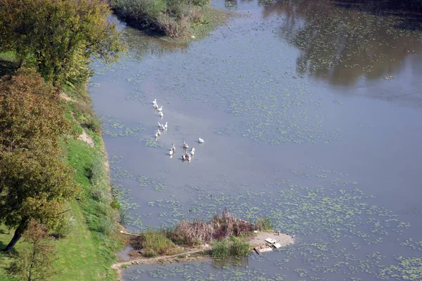 克罗地亚锡斯贾维奇库帕河的美丽风景 — 图库照片