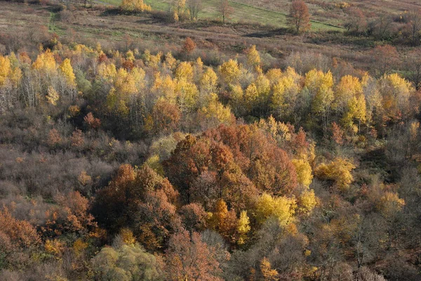 Veduta Aerea Della Foresta Autunnale Vukomericke Gorice Croazia — Foto Stock