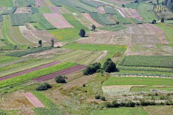 Vista Aérea Dos Prados Campos Croácia Verão Zdencina Croácia — Fotografia de Stock