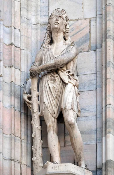 Abel Άγαλμα Στο Μιλάνο Τον Καθεδρικό Ναό Duomo Santa Maria — Φωτογραφία Αρχείου