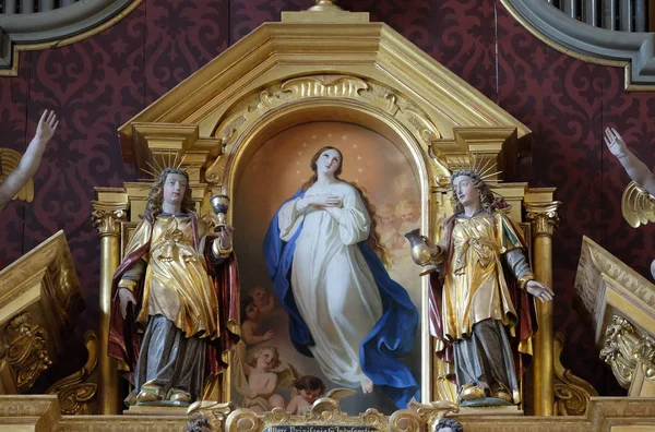 Asunción Del Altar Virgen María Iglesia San Leodegar Lucerna Suiza — Foto de Stock