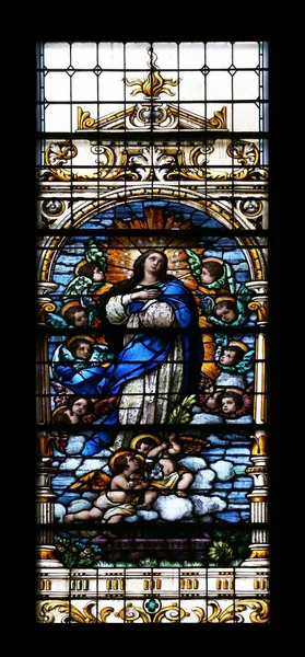 Assomption Vierge Marie Vitrail Dans Basilique Sacré Cœur Jésus Zagreb — Photo