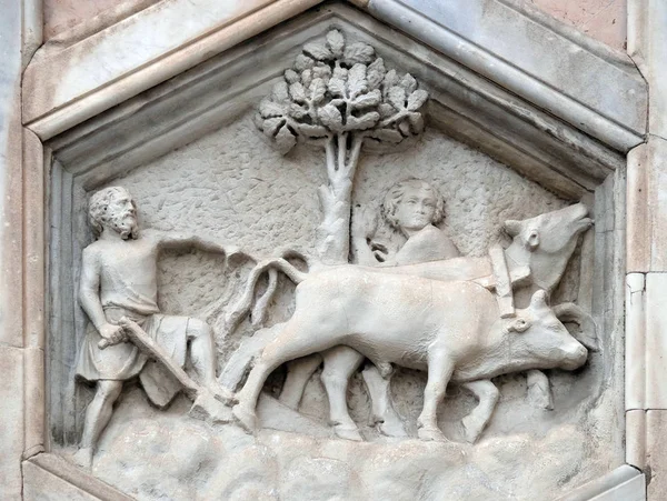 Rolnictwo Pracowni Andrea Pisano Ulgi Campanile Giotto Cattedrale Santa Maria — Zdjęcie stockowe