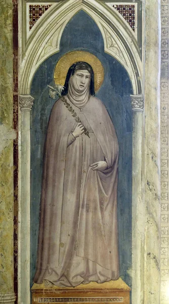 Szent Klára Assisi Gazdaság Egy Liliom Fresco Által Giotto Bondone — Stock Fotó