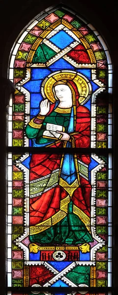 Maagd Maria Gekleurd Glas Basilica Santa Croce Basiliek Van Het — Stockfoto