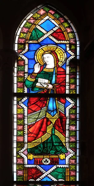 聖母マリアのステンド グラスの窓バシリカ サンタ クローチェ 聖十字架大聖堂 イタリア フィレンツェの有名なフランシスコ会教会 — ストック写真