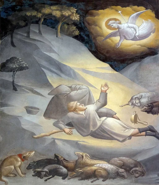 Благовіщення Пастухів Фреска Таддео Геді 1295 1366 Baroncelli Церква Базиліки — стокове фото