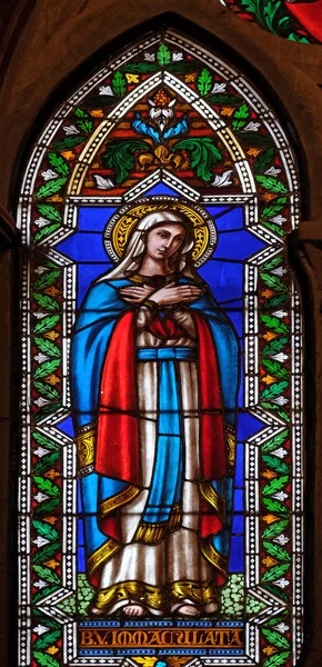 Immaculate Conception Stained Glass Window Basilica Santa Croce Basilica Holy — Stock Photo, Image