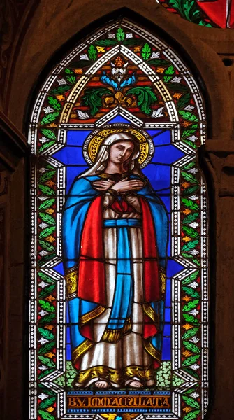 Unbefleckte Empfängnis Glasfenster Der Basilica Santa Croce Basilika Des Heiligen — Stockfoto