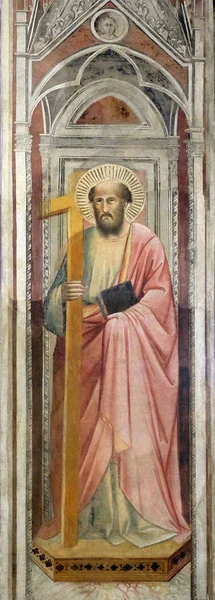 Άγιος Τοιχογραφία Στην Βασιλική Της Santa Croce Βασιλική Του Τιμίου — Φωτογραφία Αρχείου