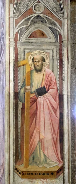 Άγιος Τοιχογραφία Στην Βασιλική Της Santa Croce Βασιλική Του Τιμίου — Φωτογραφία Αρχείου