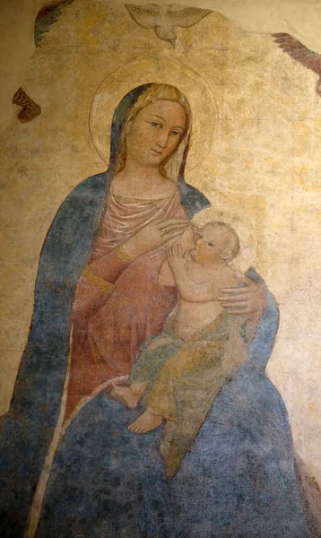 Madonna Feeding Child Por Pietro Nelli Basilica Santa Croce Basílica — Foto de Stock