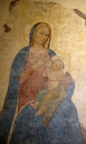 Madonna Die Das Kind Ernährt Von Pietro Nelli Basilica Santa — Stockfoto