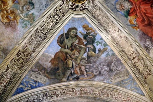 Adam Fresco Strozzi Şapel Filippino Lippi Santa Maria Novella Müdür — Stok fotoğraf