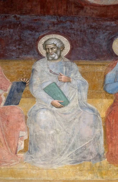 Фреска Святого Марка Євангеліста Докладно Тріумф Святого Томи Аквінського Andrea — стокове фото