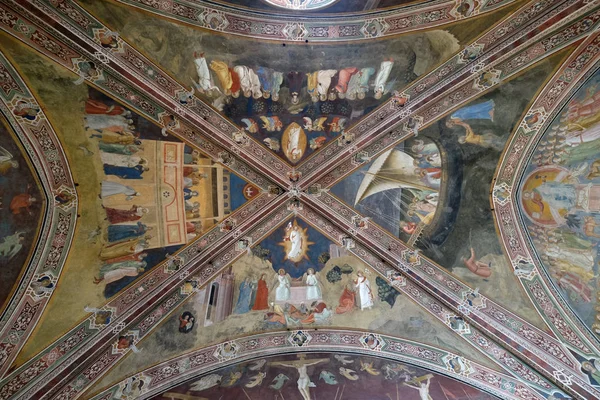 Techo Fresco Por Andrea Bonaiuto Capilla Española Santa Maria Novella —  Fotos de Stock