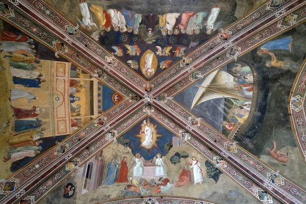 Affresco Soffitto Andrea Bonaiuto Nella Cappella Spagnola Santa Maria Novella — Foto Stock