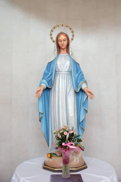 Jungfrau Maria Statue Auf Dem Altar Der Kirche Der Unbefleckten — Stockfoto