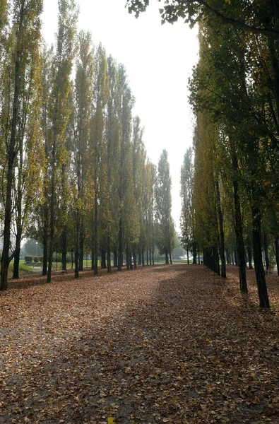 Parque Zona Residencial Malesnica Zagreb Croacia — Foto de Stock