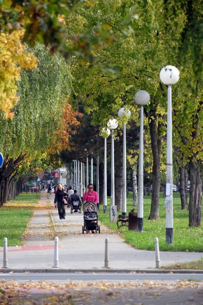 Парк Жилом Районе Малесница Загреб Хорватия — стоковое фото