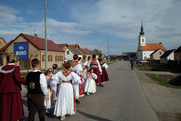 Prozession Erntedankfest Stitar Kroatien — Stockfoto