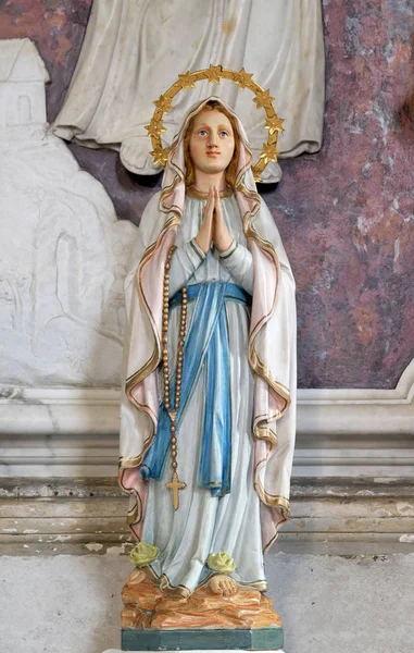 Діва Мері Статуя Вівтар Святого Франциска Ассизького Церкві Святого Іоанна — стокове фото
