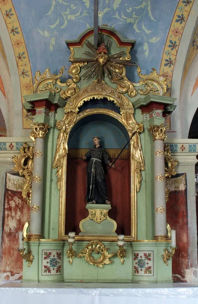 Saint Anthony Padua Altar Church Birth Virgin Mary Sveta Marija — Stock Photo, Image