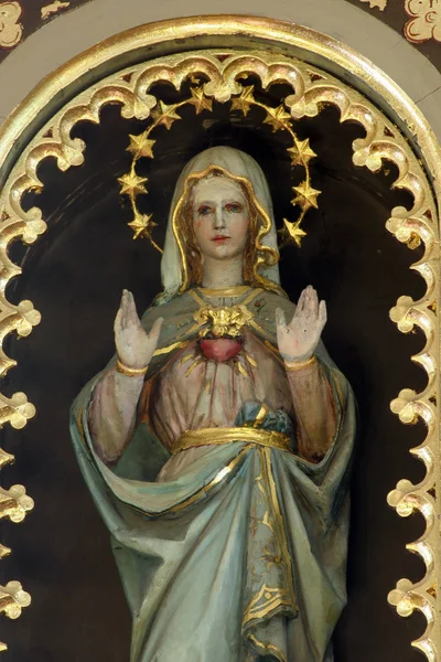 Mária Szeplőtelen Szívének Szobra Mária Látogatása Oltárán Szent Péter Templomban — Stock Fotó