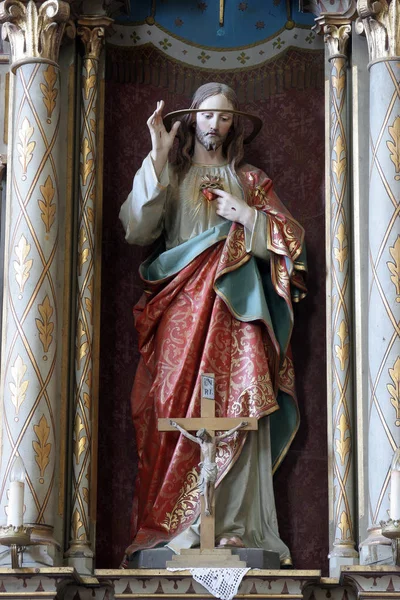 耶稣的圣心 克罗地亚波萨夫斯基布雷吉圣马克西米利安教堂圣马克西米利安教堂圣心祭坛上的雕像 — 图库照片