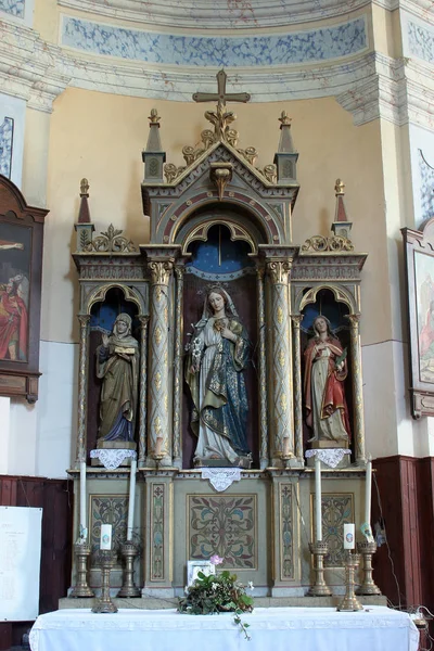 克罗地亚波萨夫斯基圣马克西米利安教堂圣母圣心的祭坛 — 图库照片