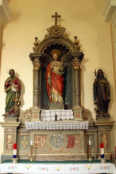 Jeesuksen Pyhä Sydän Alttari Saint Maria Magdaleenan Kirkossa Veliki Bisagissa — kuvapankkivalokuva